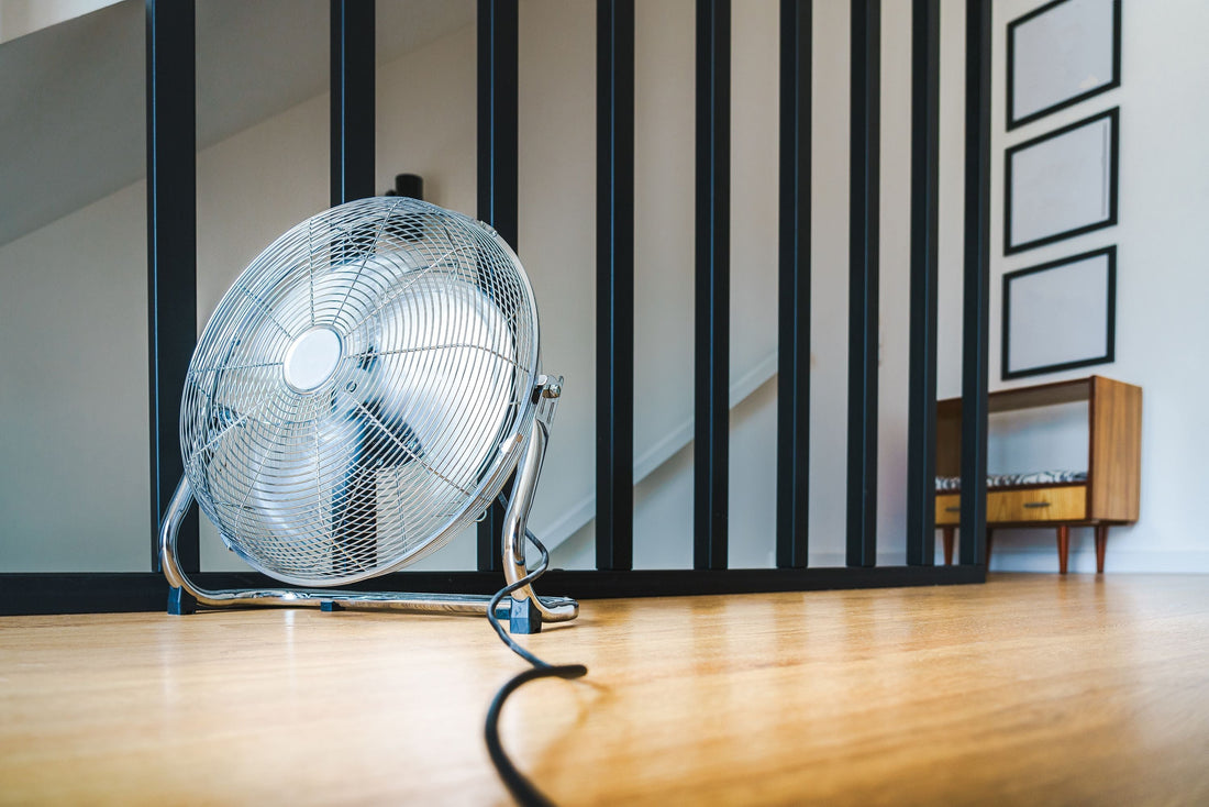 Ventilateur-canicule-chignole-et-chignon