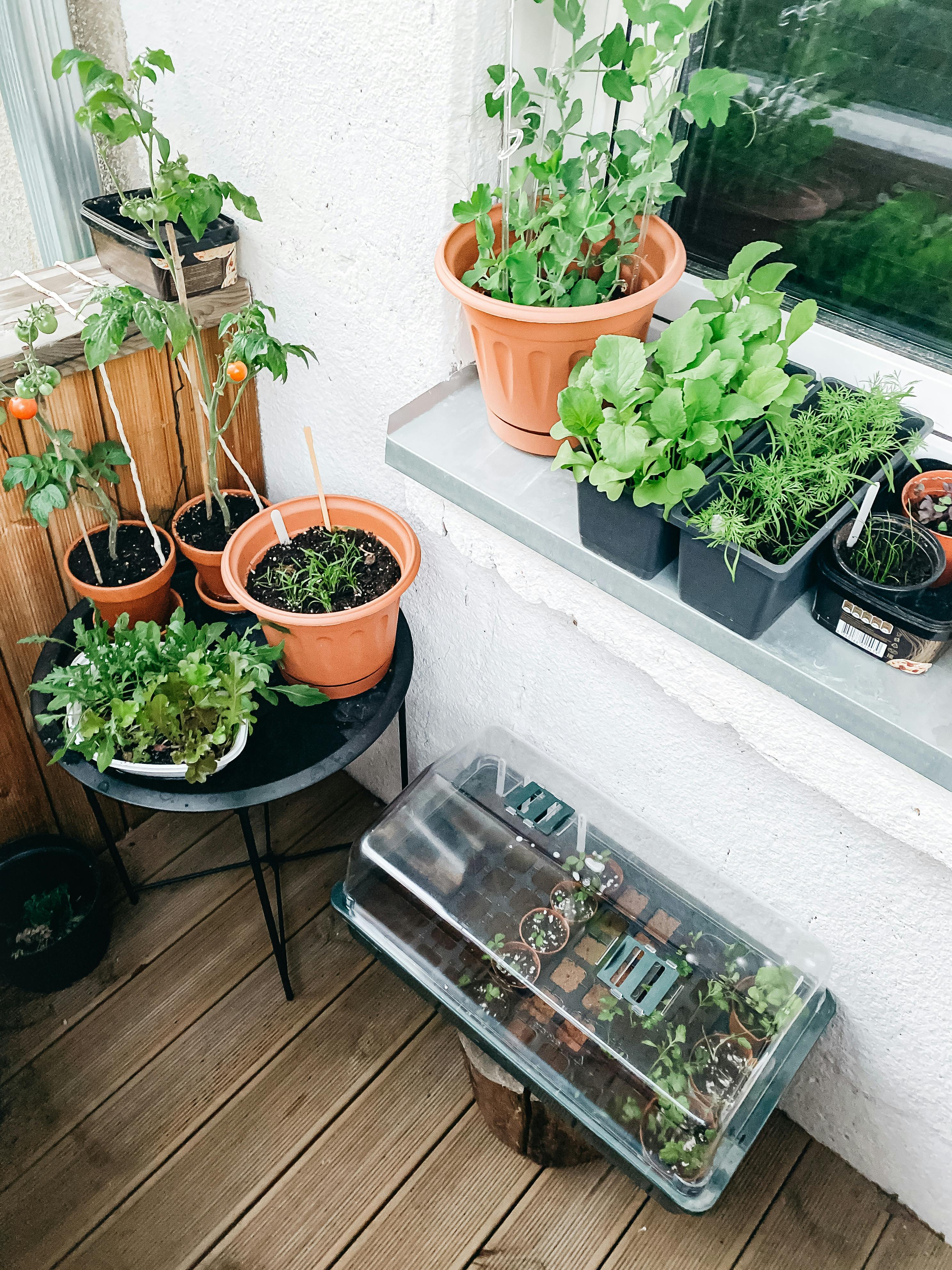 Un potager ? J'ai pas la place ...
